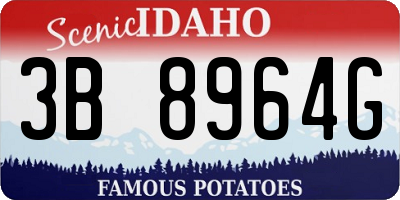ID license plate 3B8964G