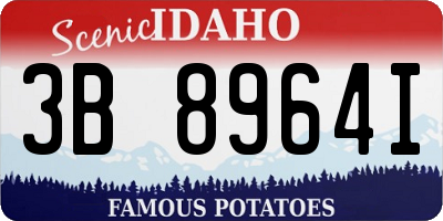 ID license plate 3B8964I