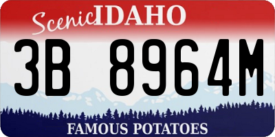 ID license plate 3B8964M