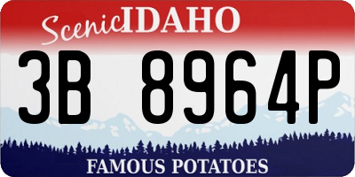 ID license plate 3B8964P
