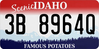 ID license plate 3B8964Q