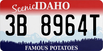 ID license plate 3B8964T