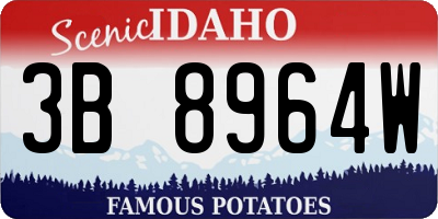 ID license plate 3B8964W