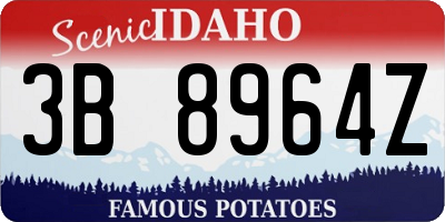 ID license plate 3B8964Z