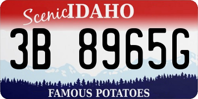 ID license plate 3B8965G