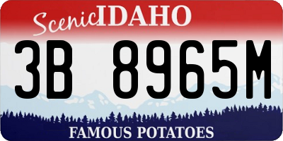 ID license plate 3B8965M