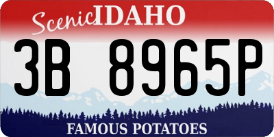 ID license plate 3B8965P