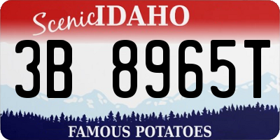 ID license plate 3B8965T