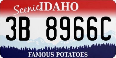 ID license plate 3B8966C