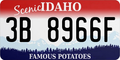 ID license plate 3B8966F