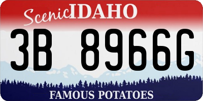 ID license plate 3B8966G