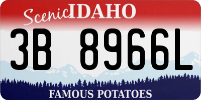 ID license plate 3B8966L