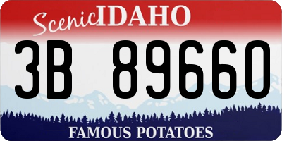 ID license plate 3B8966O