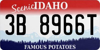 ID license plate 3B8966T