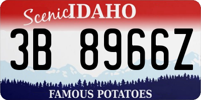 ID license plate 3B8966Z