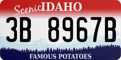 ID license plate 3B8967B