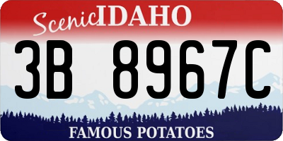 ID license plate 3B8967C