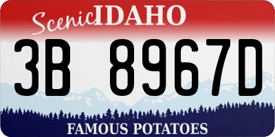 ID license plate 3B8967D