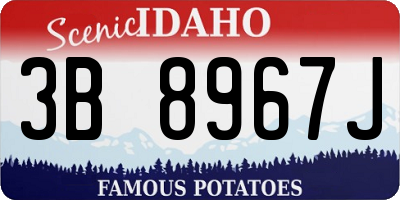 ID license plate 3B8967J
