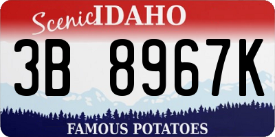 ID license plate 3B8967K