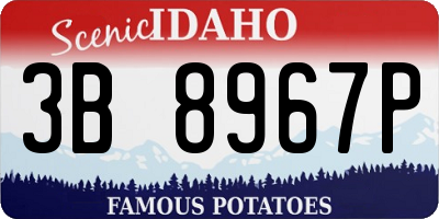 ID license plate 3B8967P