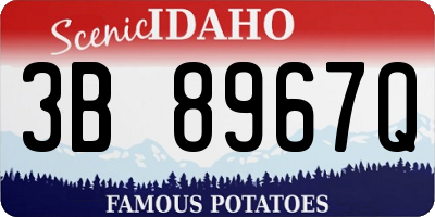 ID license plate 3B8967Q