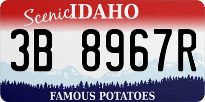 ID license plate 3B8967R