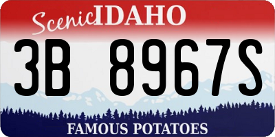 ID license plate 3B8967S