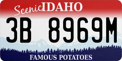 ID license plate 3B8969M