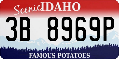ID license plate 3B8969P