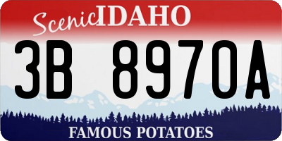 ID license plate 3B8970A