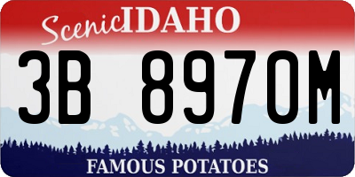 ID license plate 3B8970M