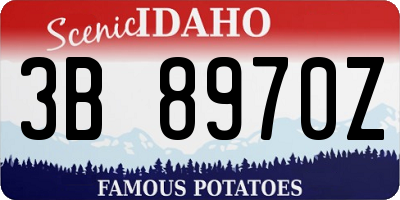 ID license plate 3B8970Z