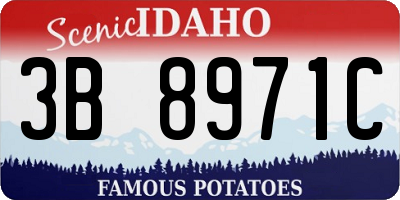 ID license plate 3B8971C