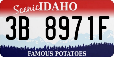 ID license plate 3B8971F