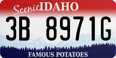 ID license plate 3B8971G