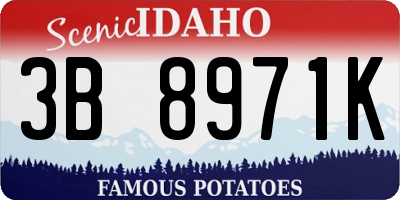 ID license plate 3B8971K