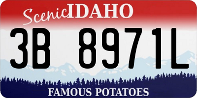 ID license plate 3B8971L