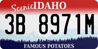ID license plate 3B8971M