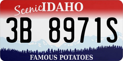 ID license plate 3B8971S