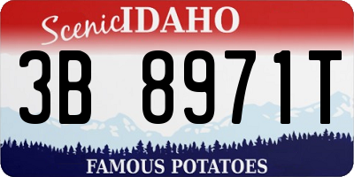ID license plate 3B8971T