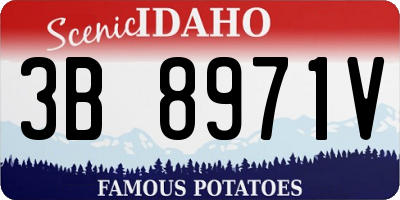 ID license plate 3B8971V