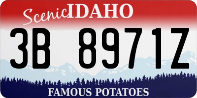 ID license plate 3B8971Z