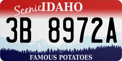 ID license plate 3B8972A