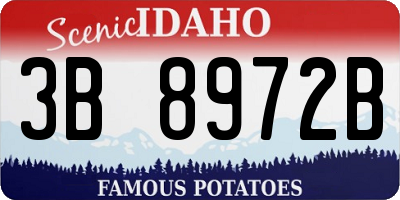 ID license plate 3B8972B
