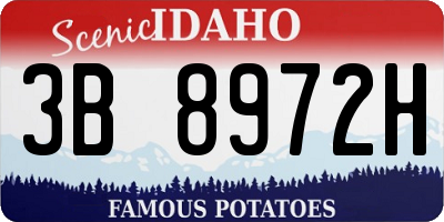 ID license plate 3B8972H