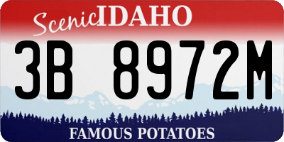 ID license plate 3B8972M