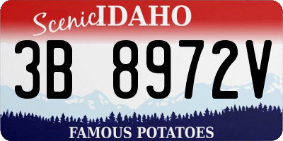 ID license plate 3B8972V