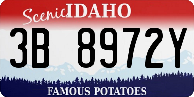 ID license plate 3B8972Y
