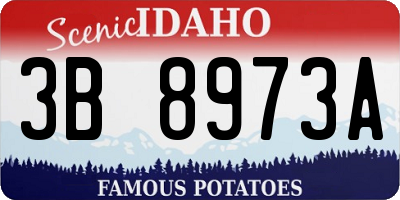 ID license plate 3B8973A
